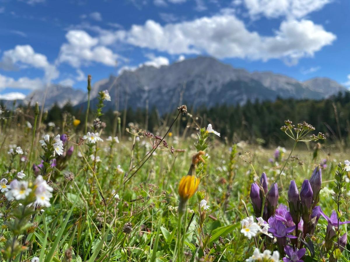 Suite Home Mittenwald Bagian luar foto